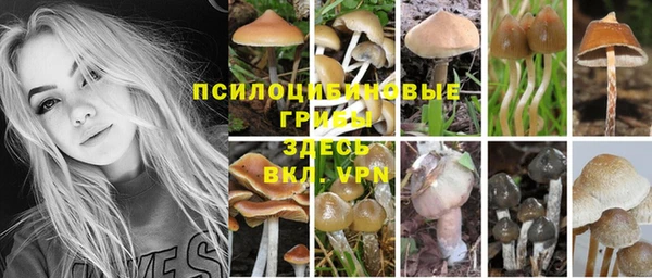гидропоника Балабаново