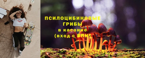гидропоника Балабаново